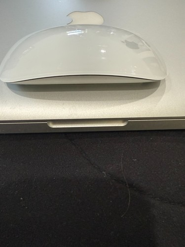 Genuine apple magic - apple,